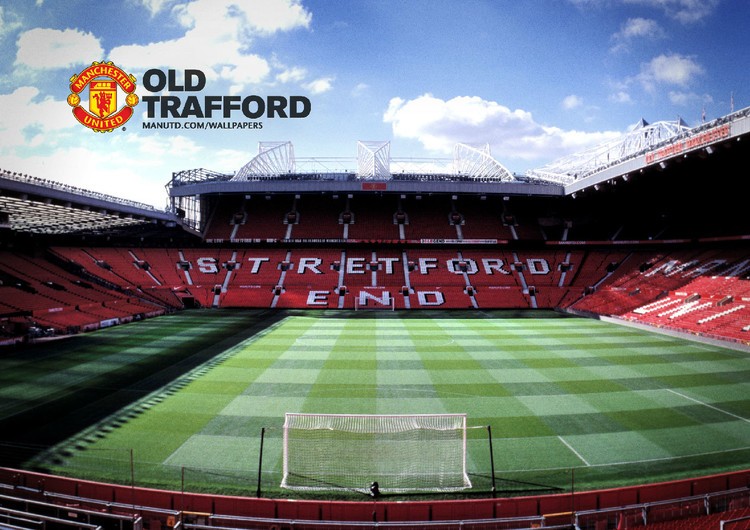 他们采用数 他们采用数